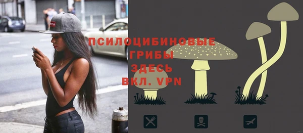 spice Армянск