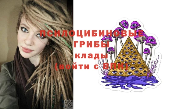 spice Армянск
