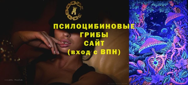 ешки Алзамай