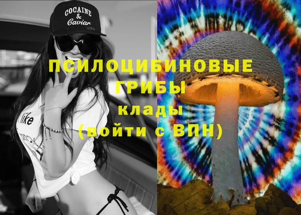spice Армянск