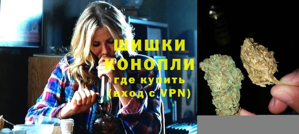 мдпв Богородицк
